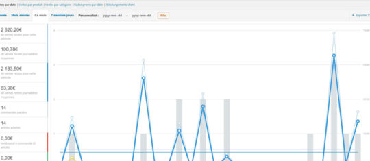 Capture d'écran de l'export des ventes WooCommerce